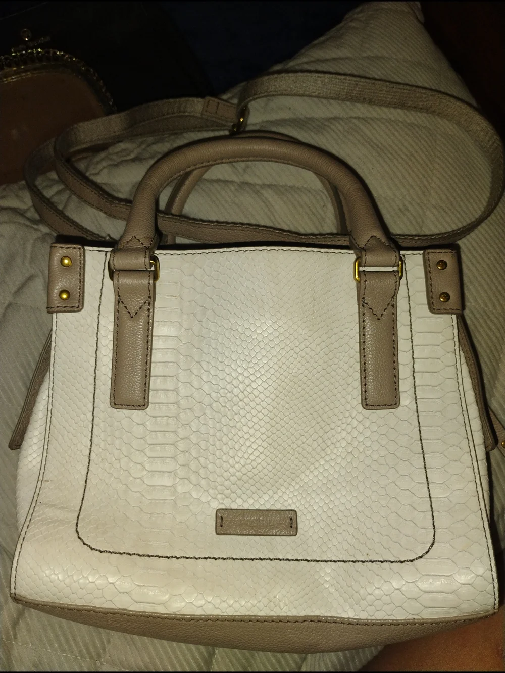 Fossil Cream and Taupe Snake Textured Satchel